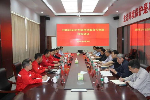 3个专家组奔赴一线,开启有机硅 多晶硅企业专家指导服务