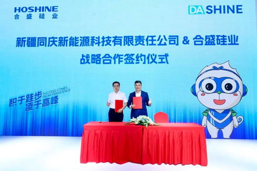 合盛硅业彰显全产业链优势,引领光伏技术革新浪潮