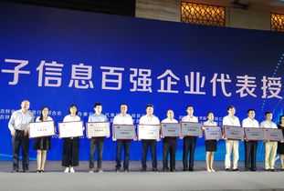 江苏协鑫硅材料连续5年荣膺 全国电子信息百强企业