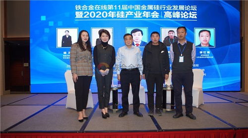 议题演讲 铁合金在线第11届中国金属硅行业发展论坛暨2020年硅产业年会