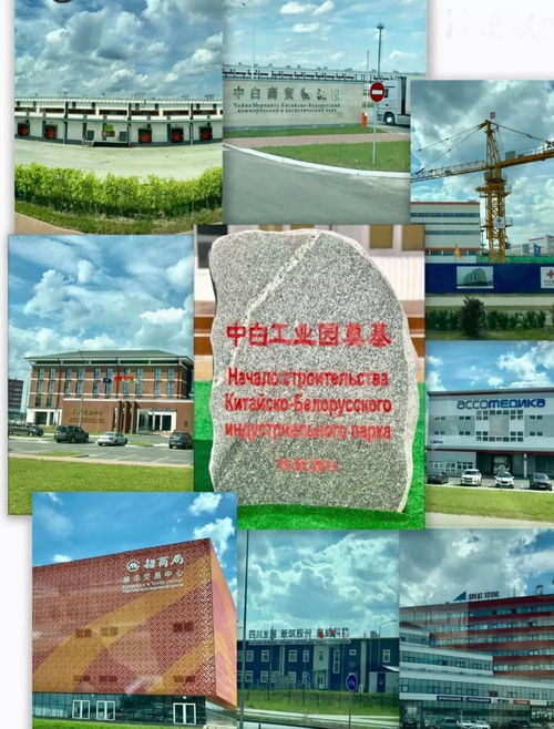动态 加强国际交流 共促行业发展 四 借力共建 一带一路 共同推动氟硅行业合作走深走实 行稳致远