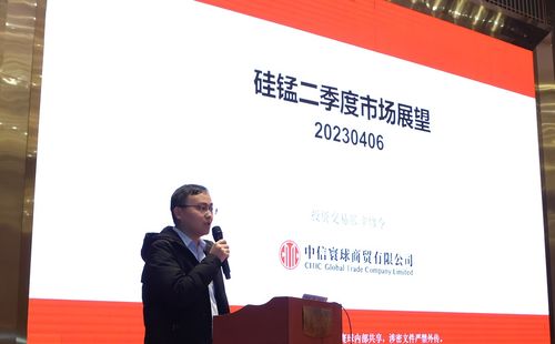 深入宁夏银川 共议双硅产业格局 2023年双硅产业发展论坛议题演讲