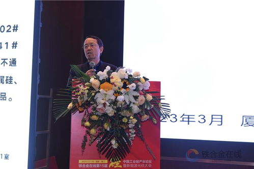 硅 业蓬勃,一 鹭 前行 第十五届中国硅产业发展论坛主题演讲