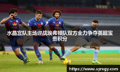 水晶宫队主场迎战埃弗顿队双方全力争夺英超宝贵积分